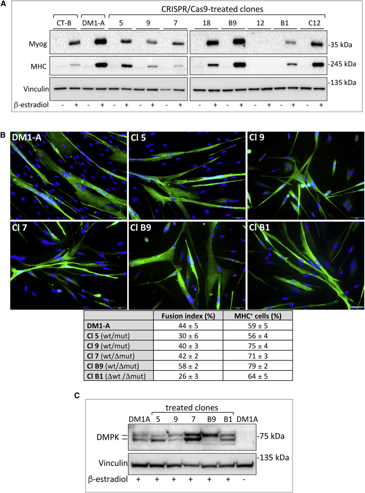 Figure 5