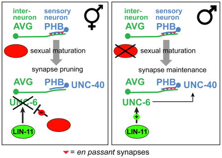 graphic file with name nihms932080u1.jpg