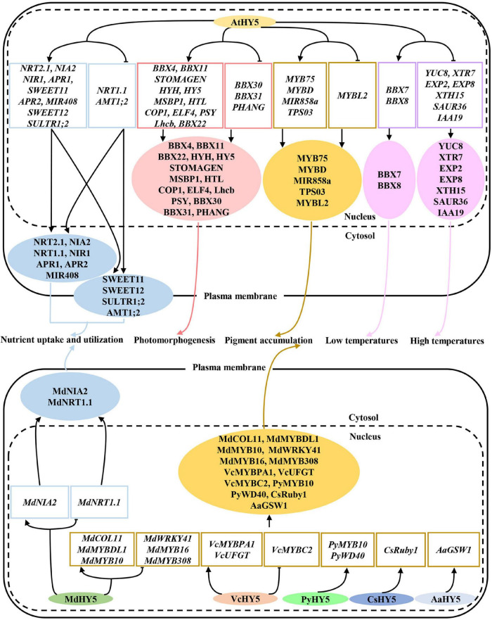 FIGURE 2