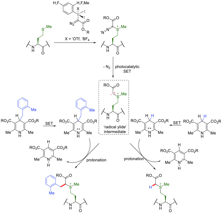 Figure 19