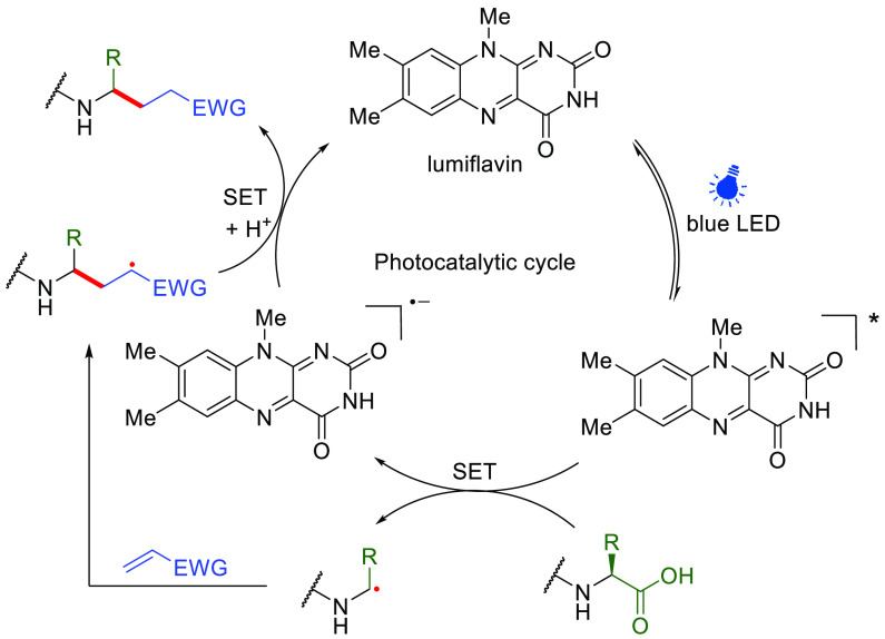 Figure 16