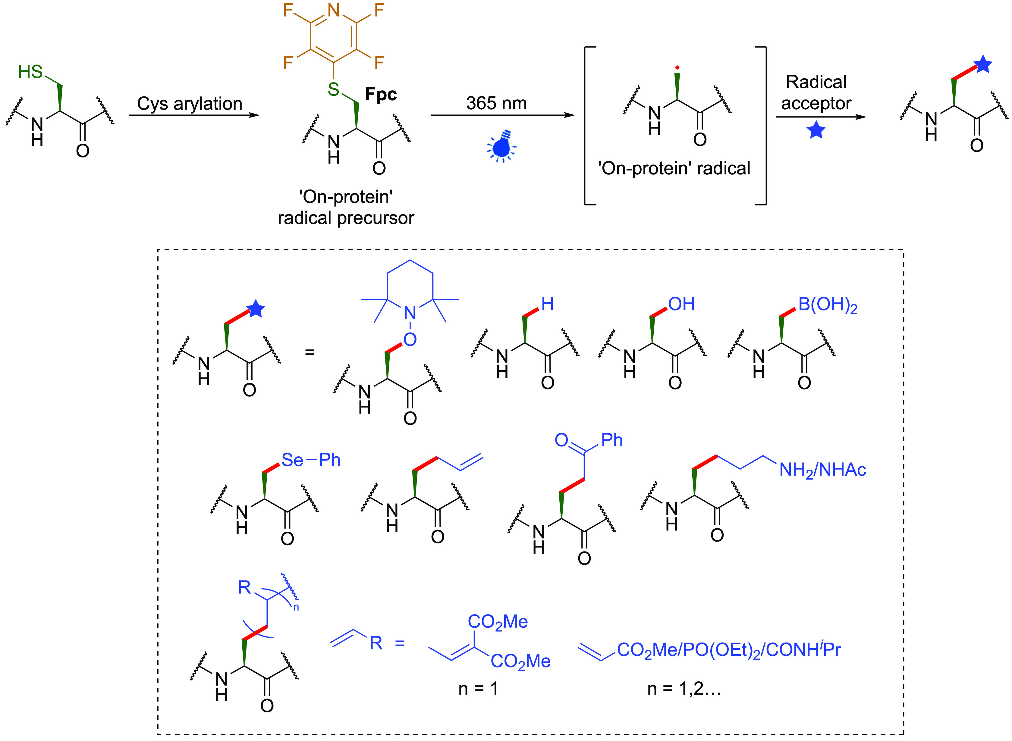 Figure 21