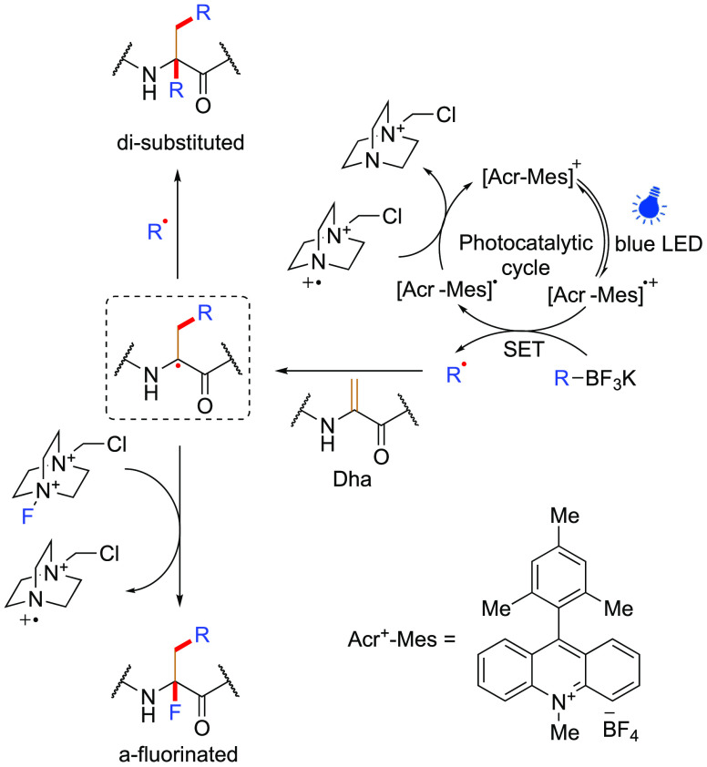 Figure 22