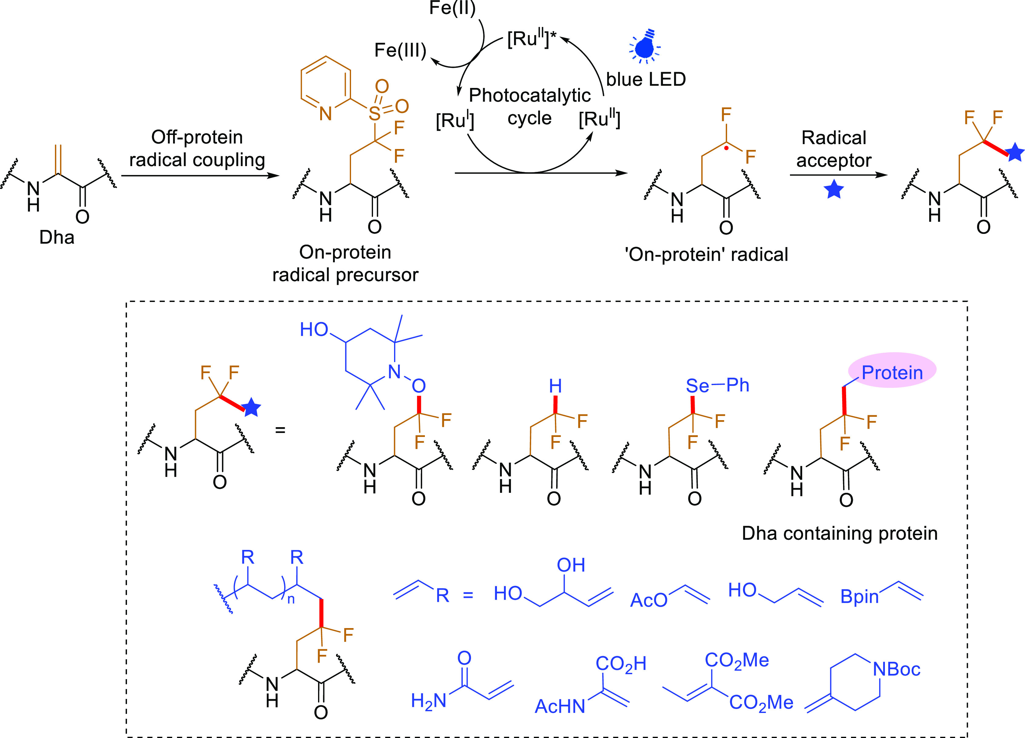 Figure 20