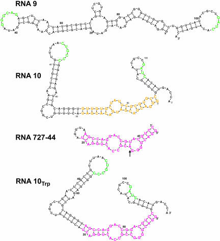 FIGURE 1.