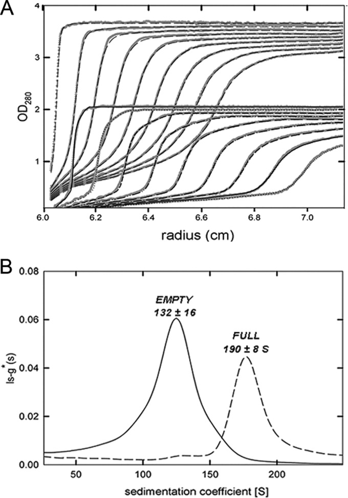 FIG 6