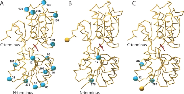 Figure 2.