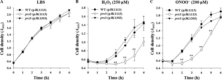 FIGURE 5.