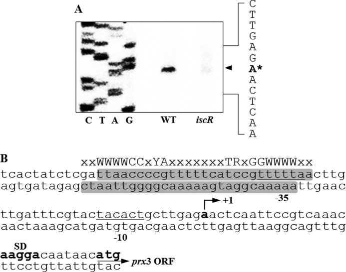 FIGURE 7.