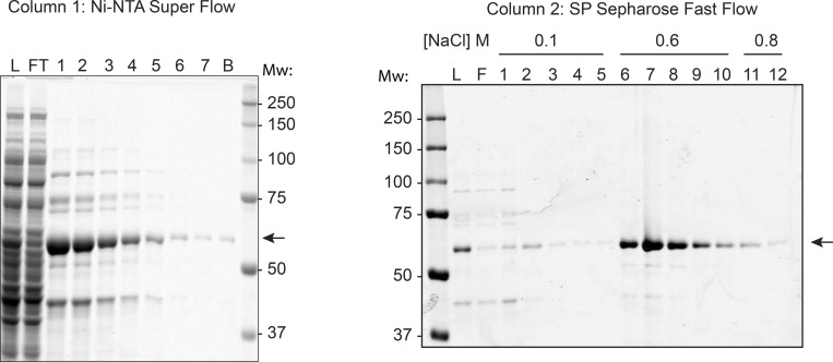 Figure S1.