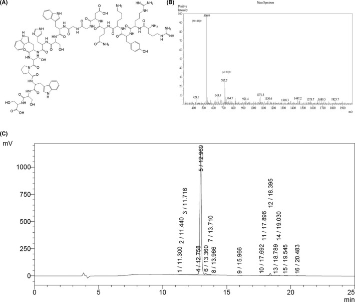 FIGURE 2