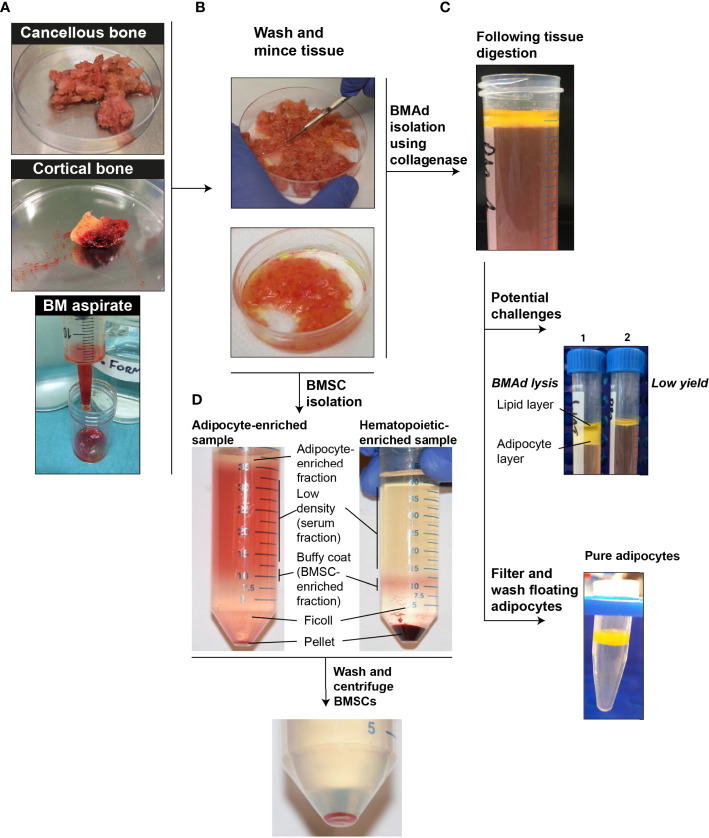 Figure 4