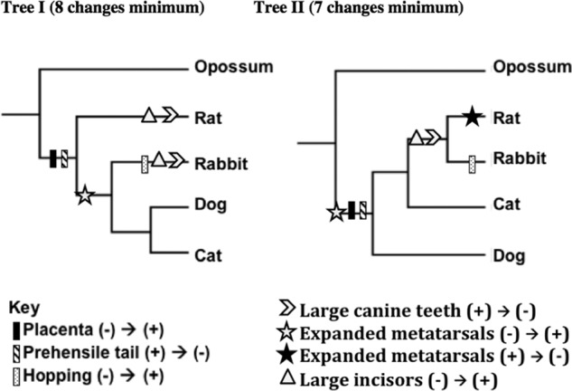 Figure 2.