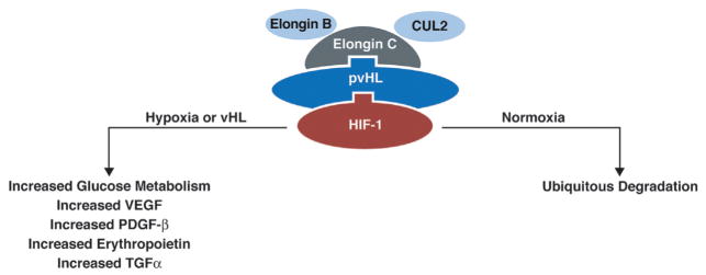 Fig. 10.2