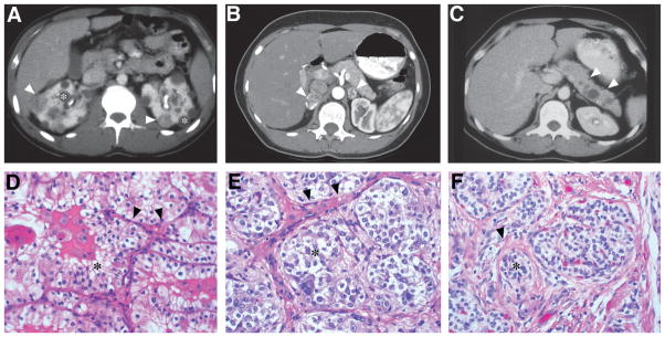 Fig. 10.6