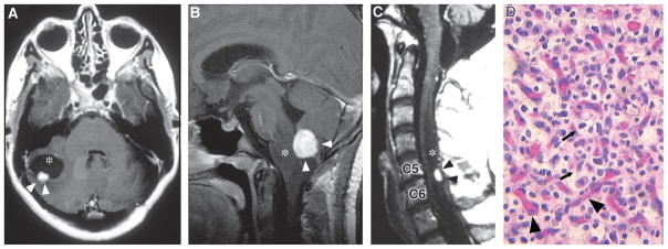 Fig. 10.3