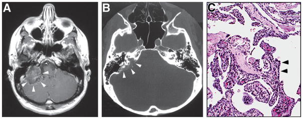 Fig. 10.5