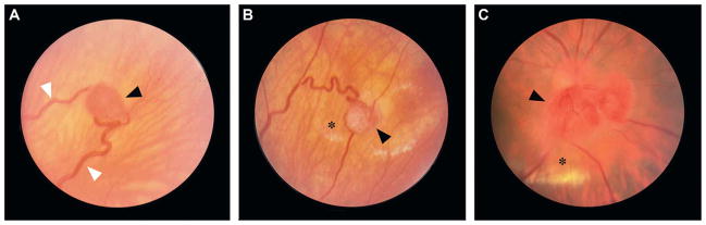 Fig. 10.4