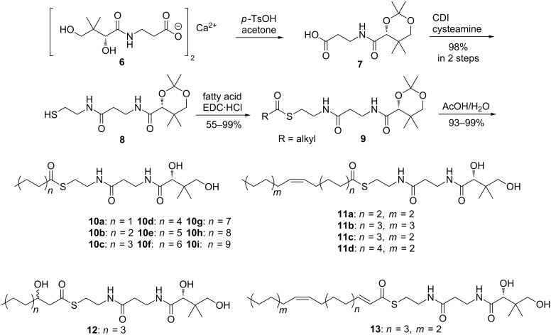 Scheme 2