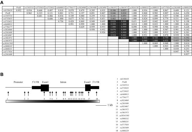 Figure  2