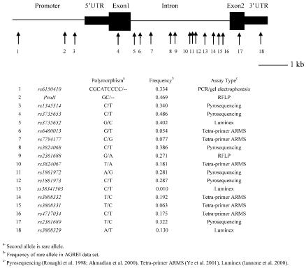 Figure  1