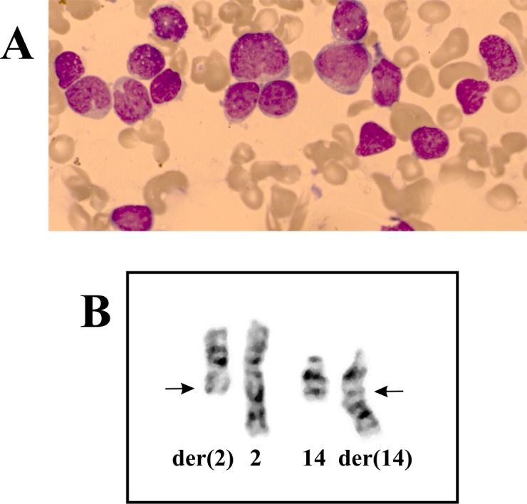 Fig 1