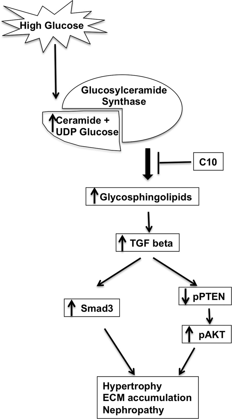 Fig. 8.