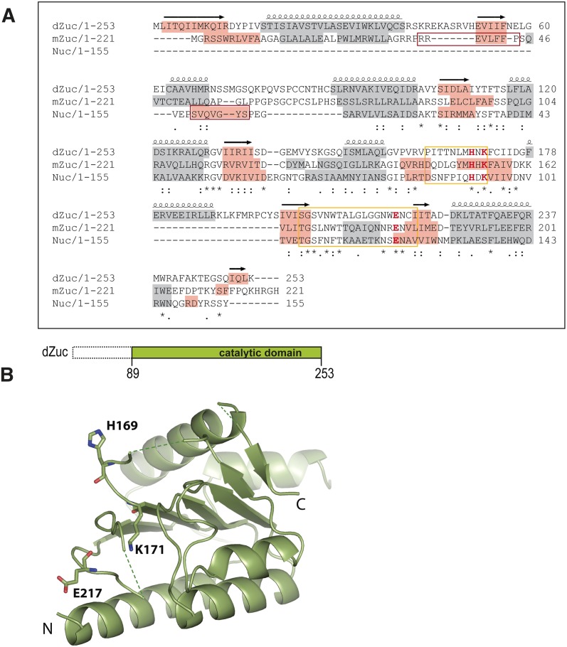 FIGURE 1.