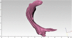 Fig. 10