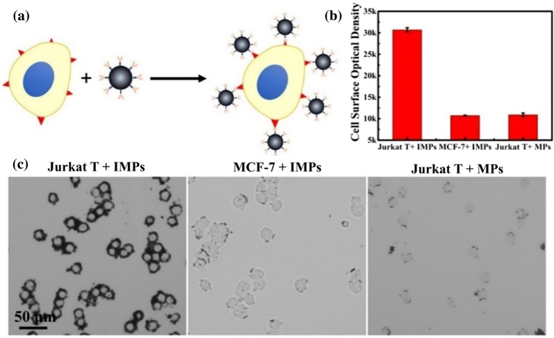 Fig. 3