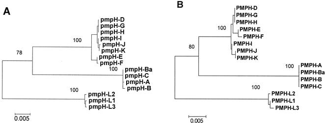 FIG. 6.