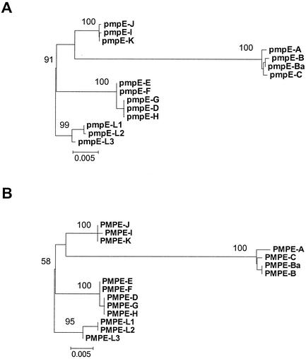 FIG. 4.