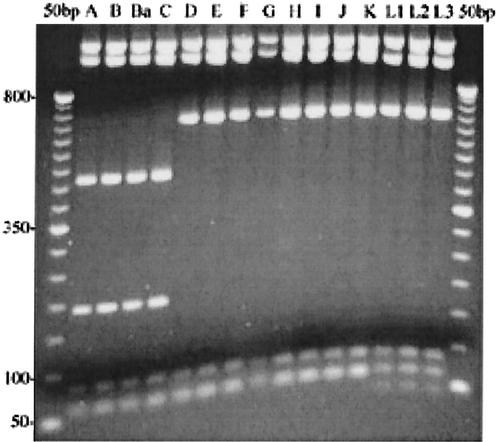 FIG. 5.