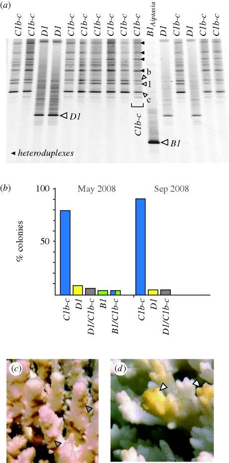 Figure 2.