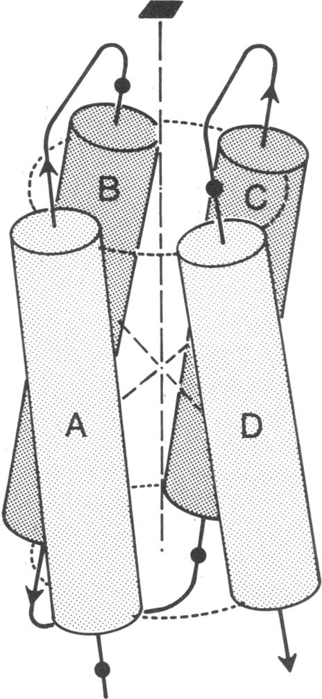 graphic file with name pnas00454-0023-a.jpg