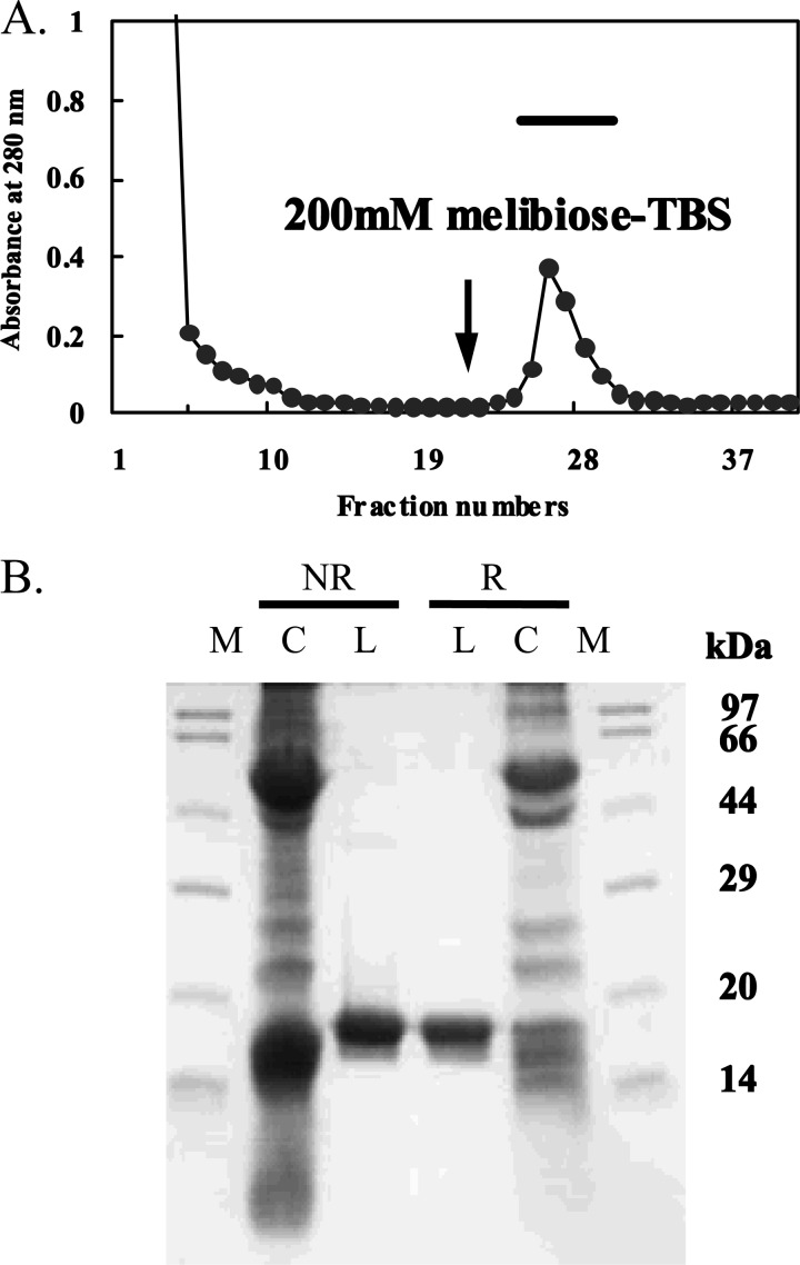 FIGURE 1.