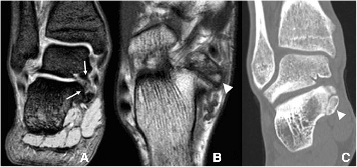 Fig. 5