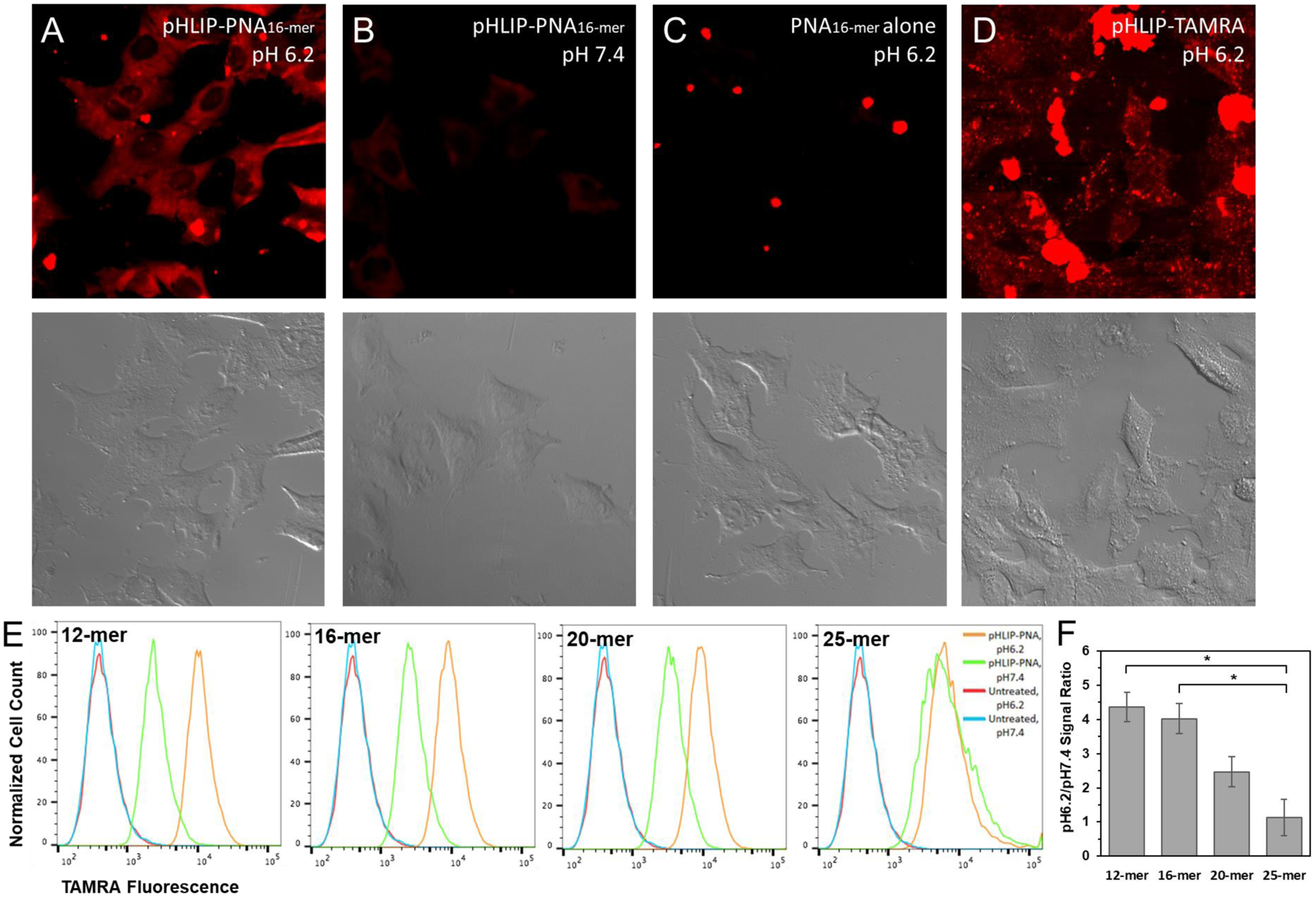 Figure 4: