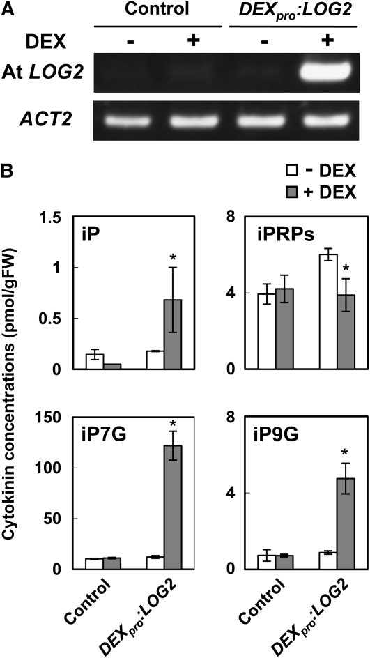 Figure 3.