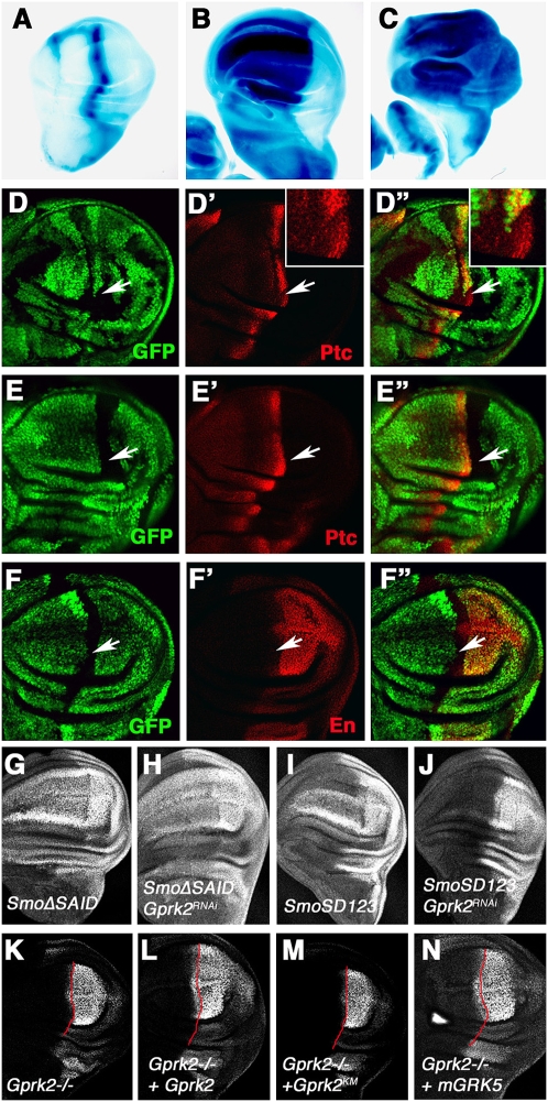 Figure 2.