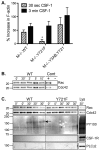 Fig. 8.