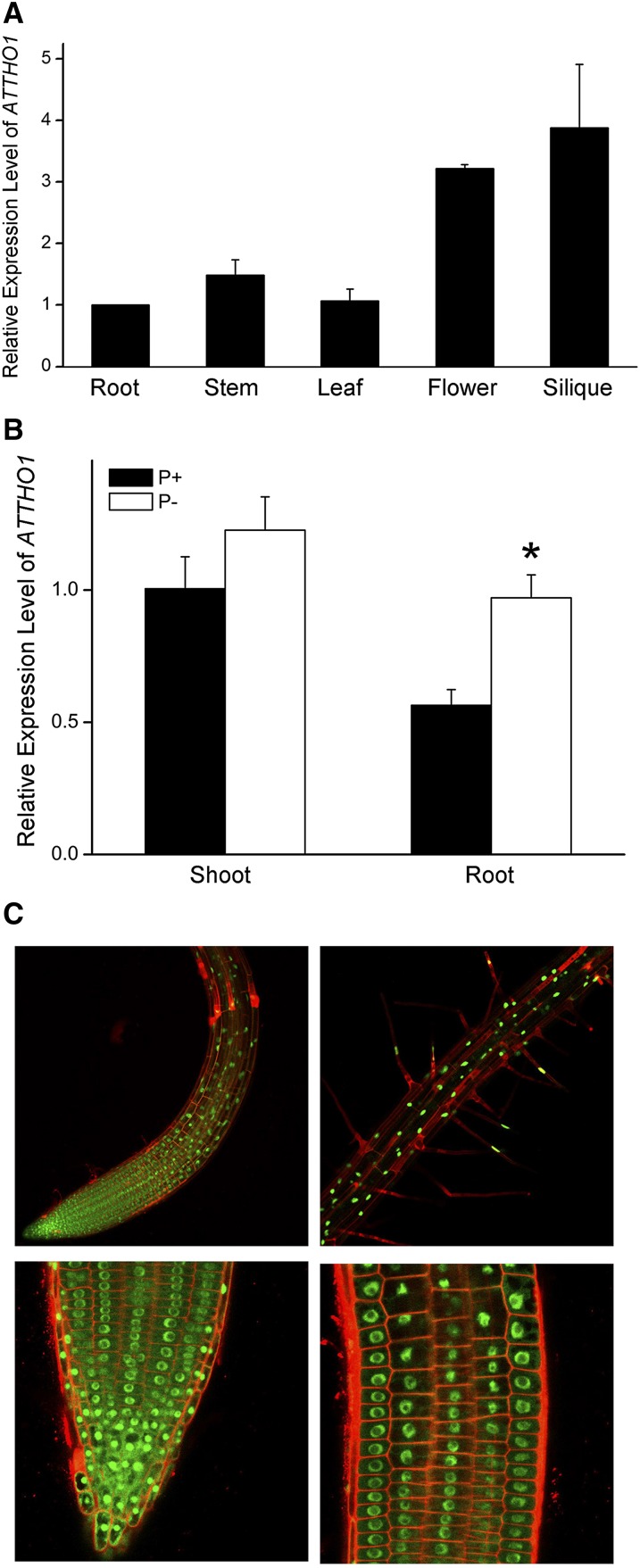 Figure 4.