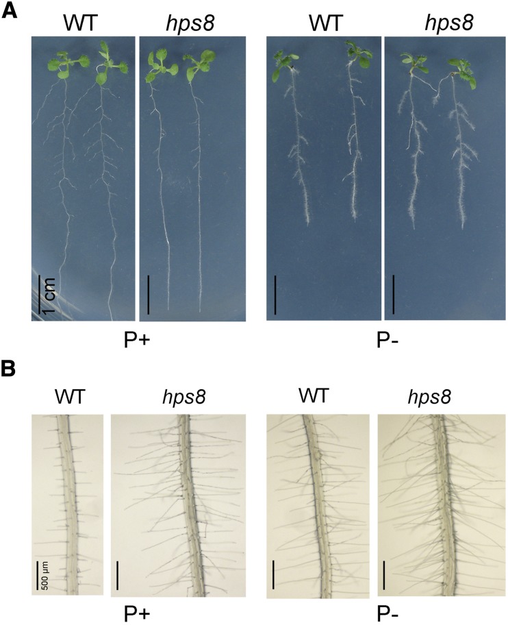 Figure 2.