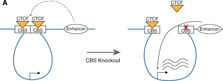 Fig. 11