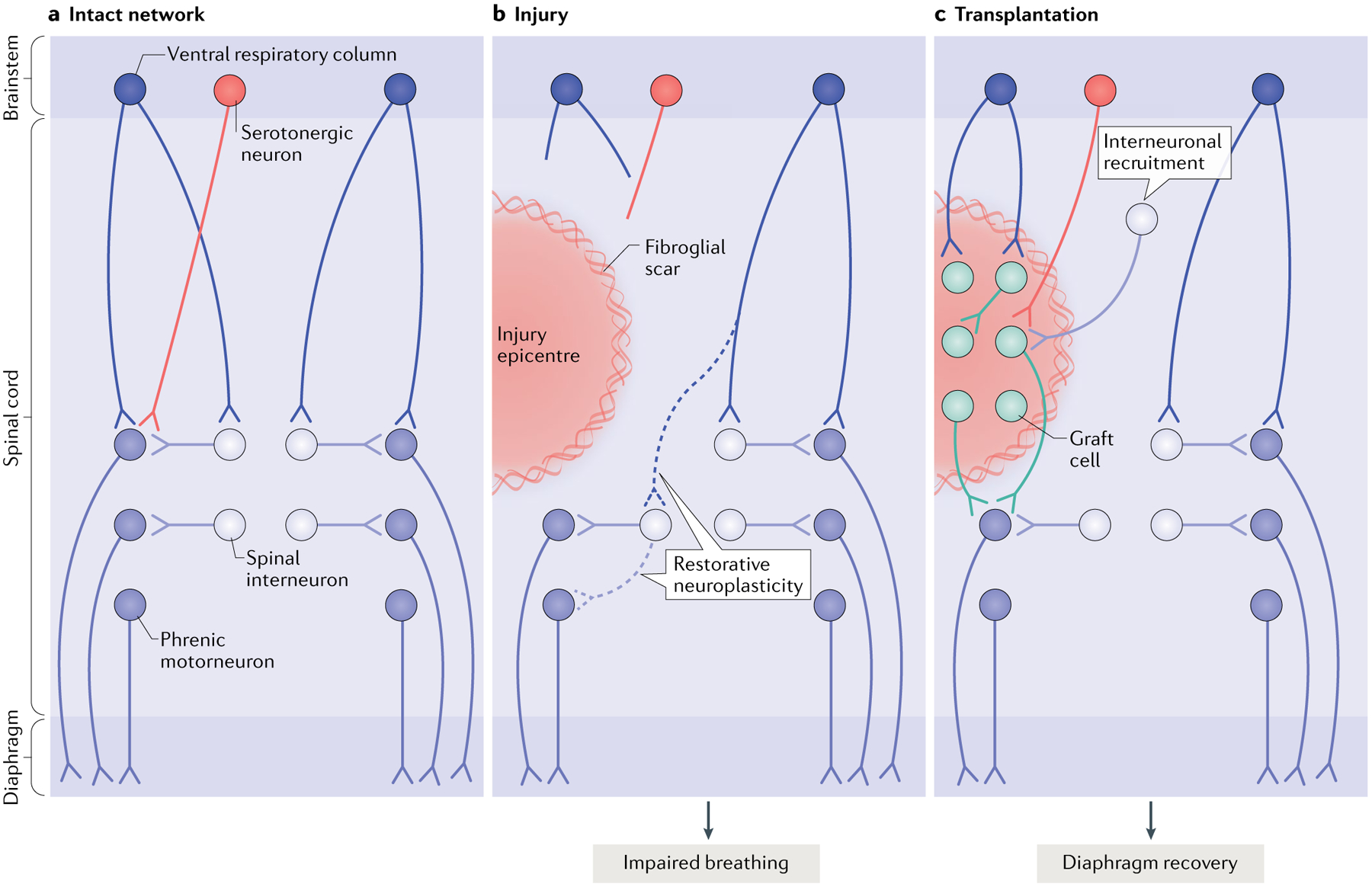 Fig. 3 |