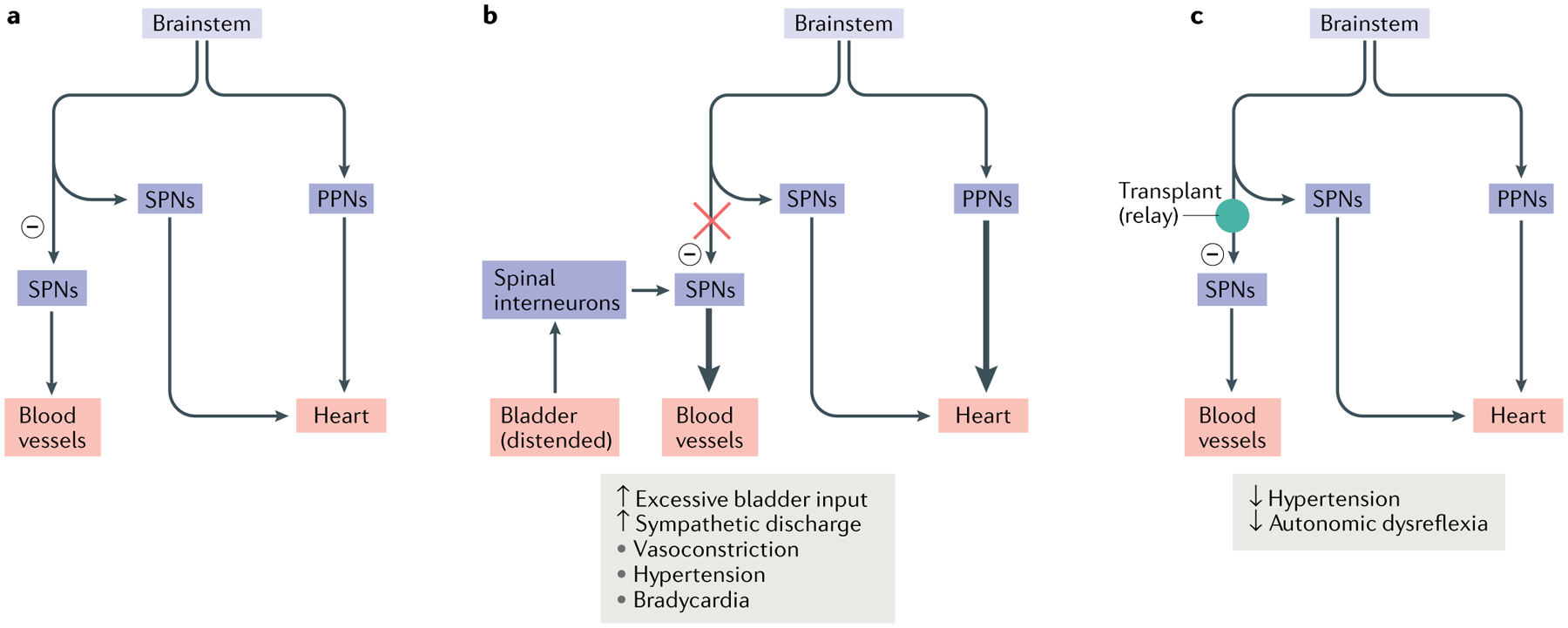 Fig. 4 |