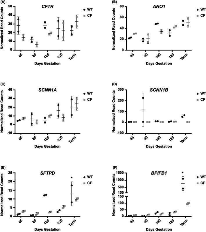 FIGURE 6