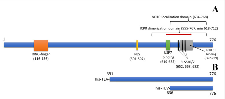 Figure 1: