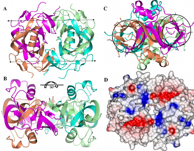 Figure 5: