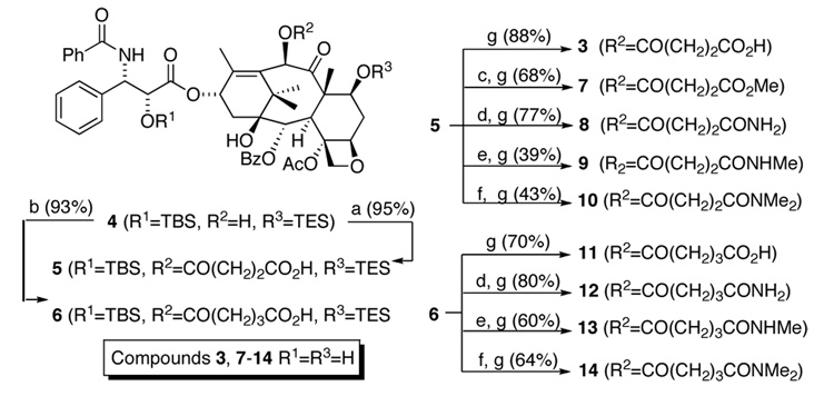 Scheme 1